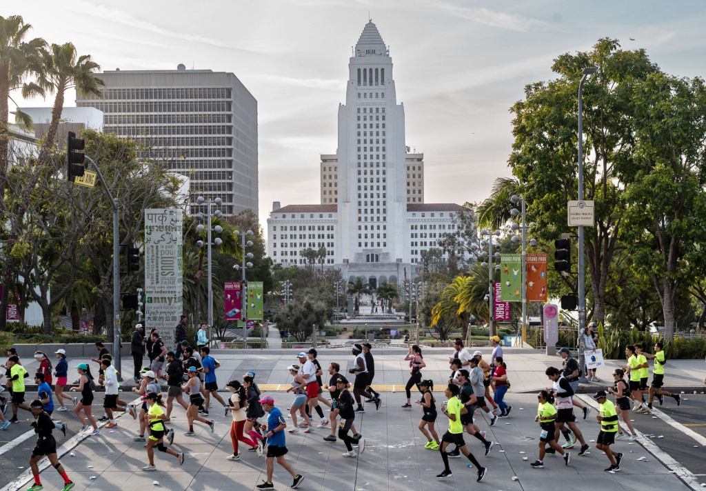 LA City Council pulls noncitizen voting, LAPD measures from November ballot – Daily News