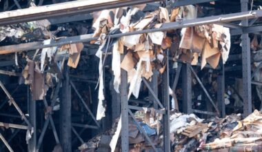 Impact of Boyle Heights fire: Rats, rotted food, strong odors, dead birds in LA River – Daily News