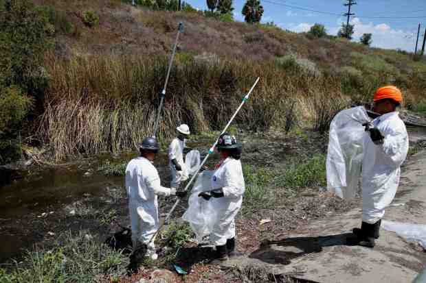 Workers from Ocean Blue Environmental Services collect trash and dead fish during an all-day cleanup at the Dominguez Gap Wetlands on Tuesday, June 23, 2026, in Long Beach. (Photo by Howard Freshman, Contributing Photographer)