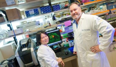 Experimental gene therapy shows promise in fighting toxic protein in brain, without removing the toxin – San Diego Union-Tribune