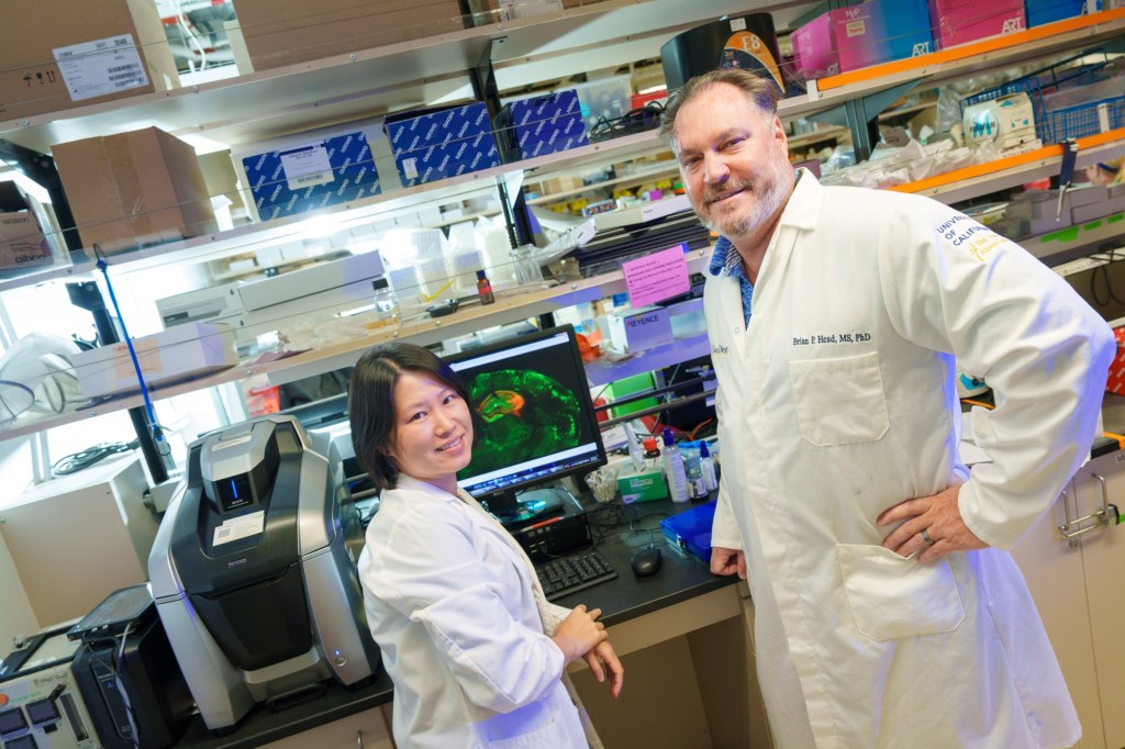 Experimental gene therapy shows promise in fighting toxic protein in brain, without removing the toxin – San Diego Union-Tribune