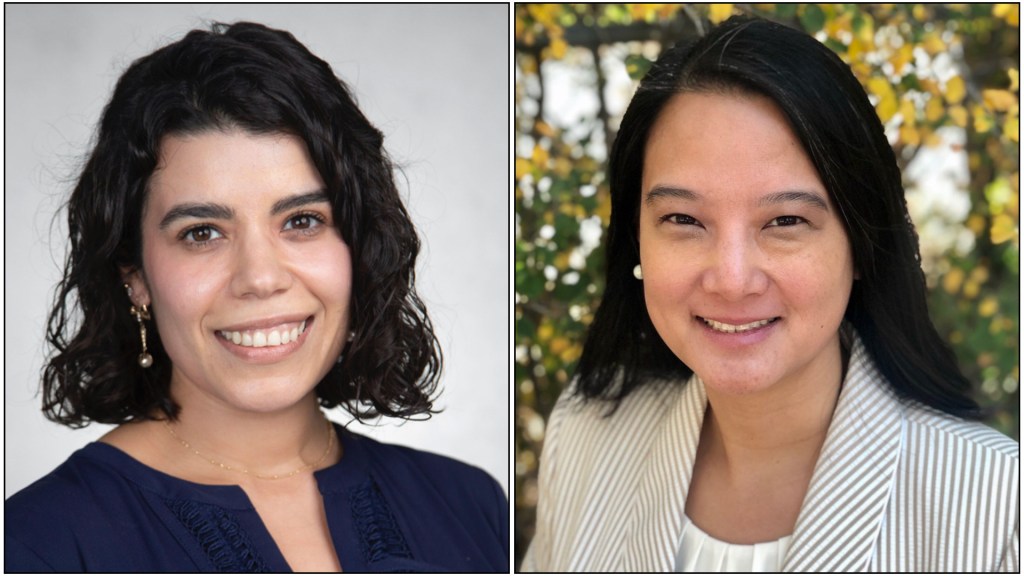 UCSD researchers work on women’s brain health projects with help from pair of awards – San Diego Union-Tribune
