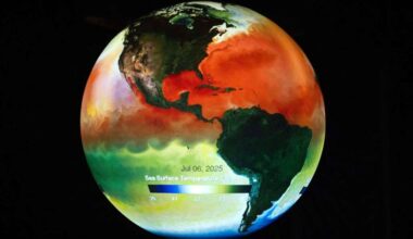 With strong El Niño on the horizon, Long Beach aquarium preps for marine impacts – Press Telegram