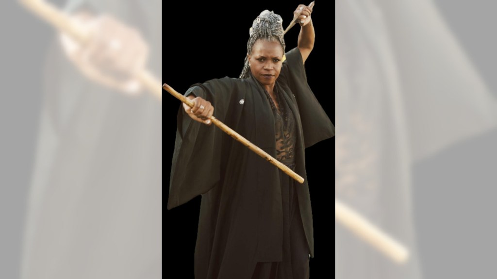 Rich Archbold: Professor Zahalea Anderson has risen from the ashes with her martial arts teaching – Press Telegram