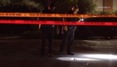 Man stabbed to death in west Long Beach – Press Telegram