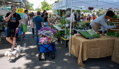Live performances, giveaways and pets at Midtown market