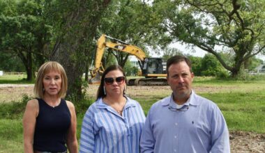 Live oaks felled in Biloxi, Long Beach before appeals heard