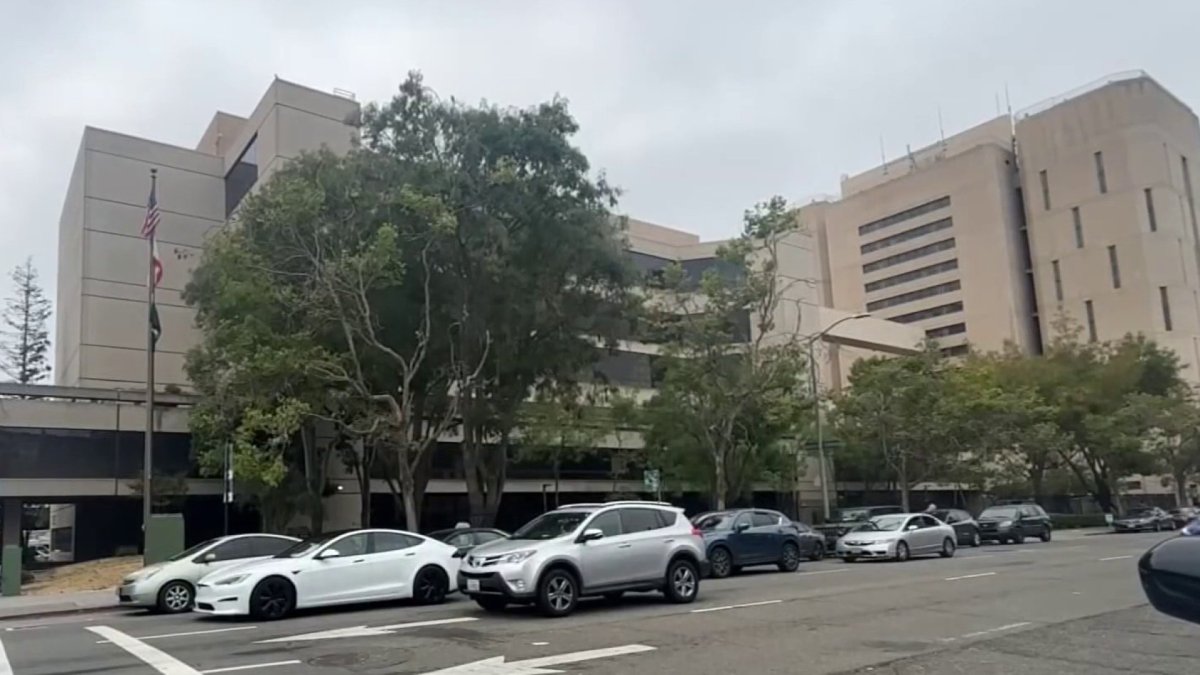 Man charged in Berkeley animal shelter arson appears in court – NBC Bay Area