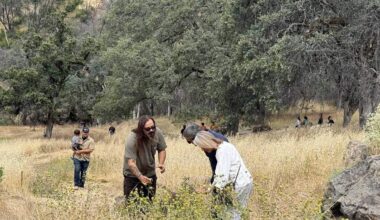 Sacramento Bee top stories for June 11, 2026