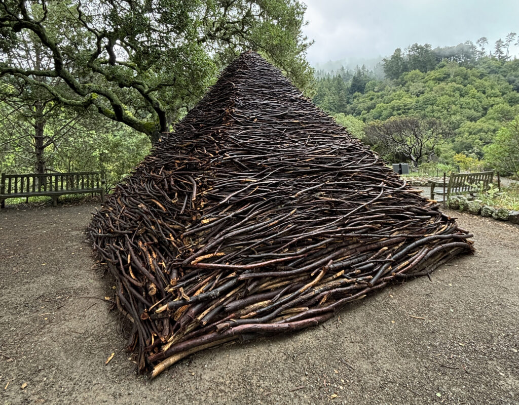 A large outdoor sculpture constructed from thousands of dark, intertwined tree branches stacked tightly together to form a sharp pyramid. The structure sits on a dirt clearing in the UC Botanical Garden, framed by lush green trees and a misty, foggy forest hillside in the background.