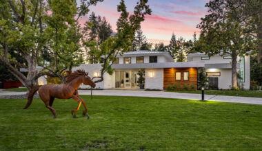 Boldly modern Sacramento area estate built around an oak