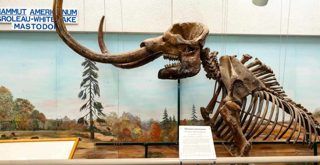 Elmer the Mastodon heading to Cranbrook this summer – The Oakland Press
