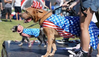 Anaheim Hills briefs: Celebrate July 4 with annual parade, festival and fun in Anaheim Hills – Orange County Register