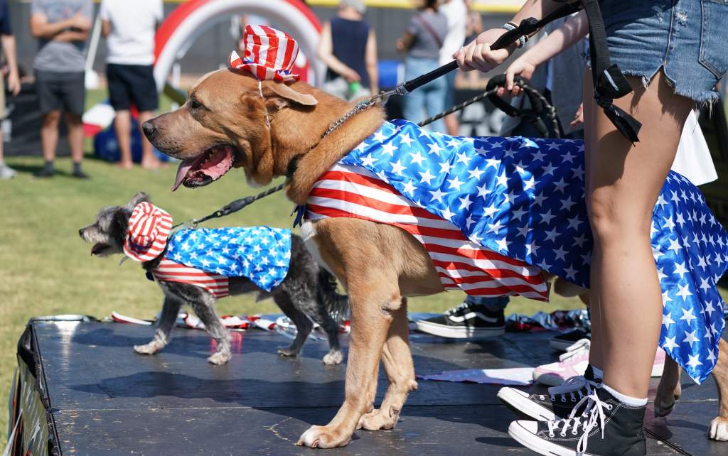 Anaheim Hills briefs: Celebrate July 4 with annual parade, festival and fun in Anaheim Hills – Orange County Register