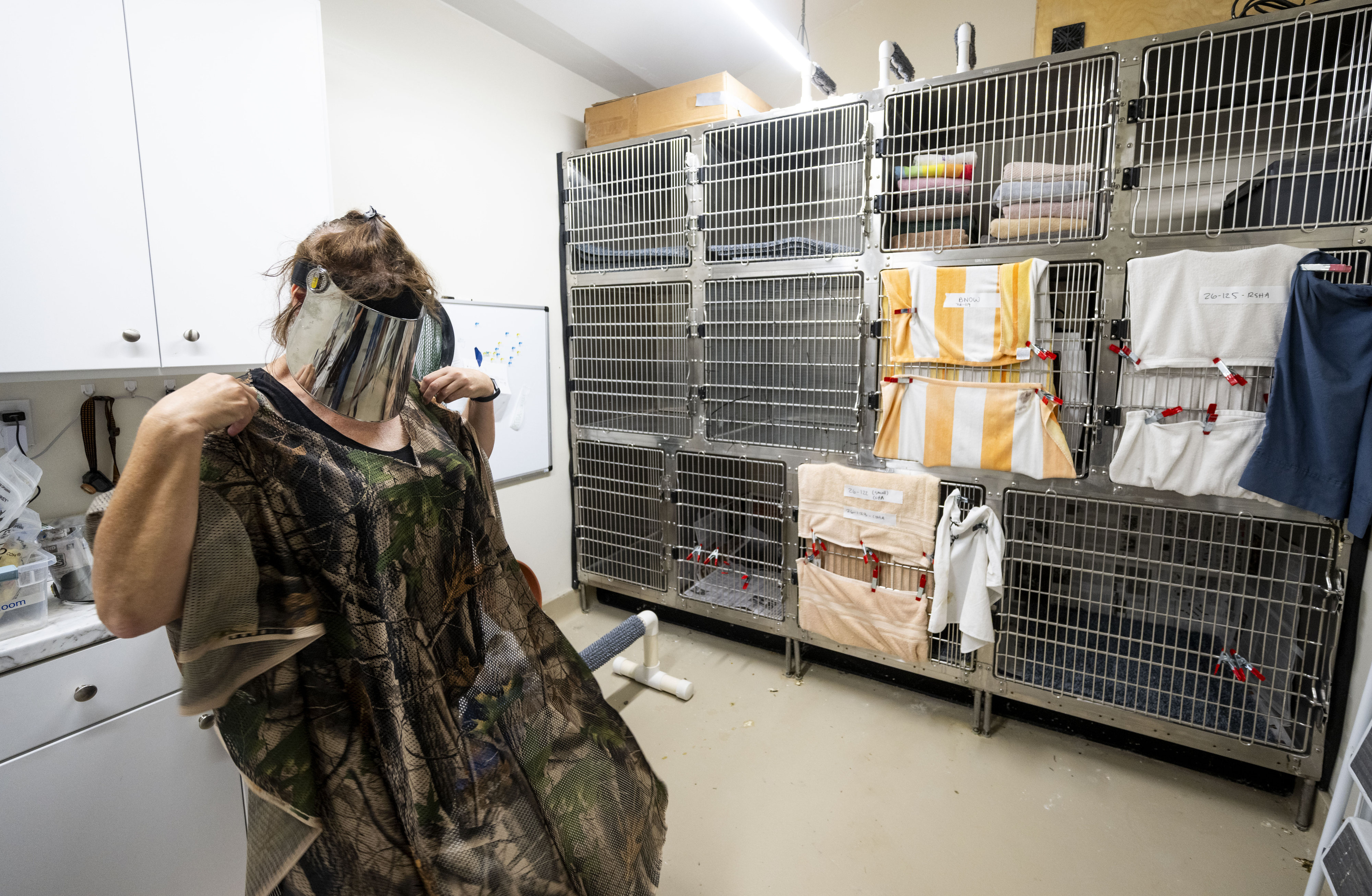 Orange County Bird of Prey Center Director of Administration Joanne...