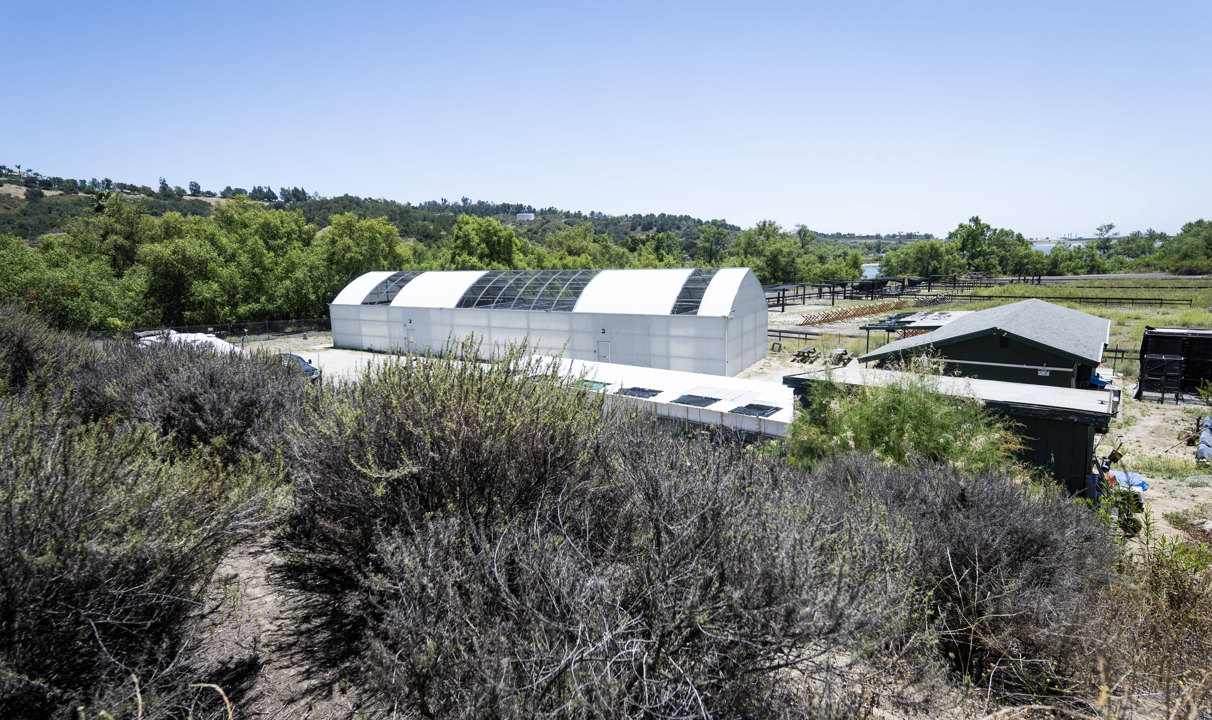 The Orange County Bird of Prey Center in Rancho Santa...