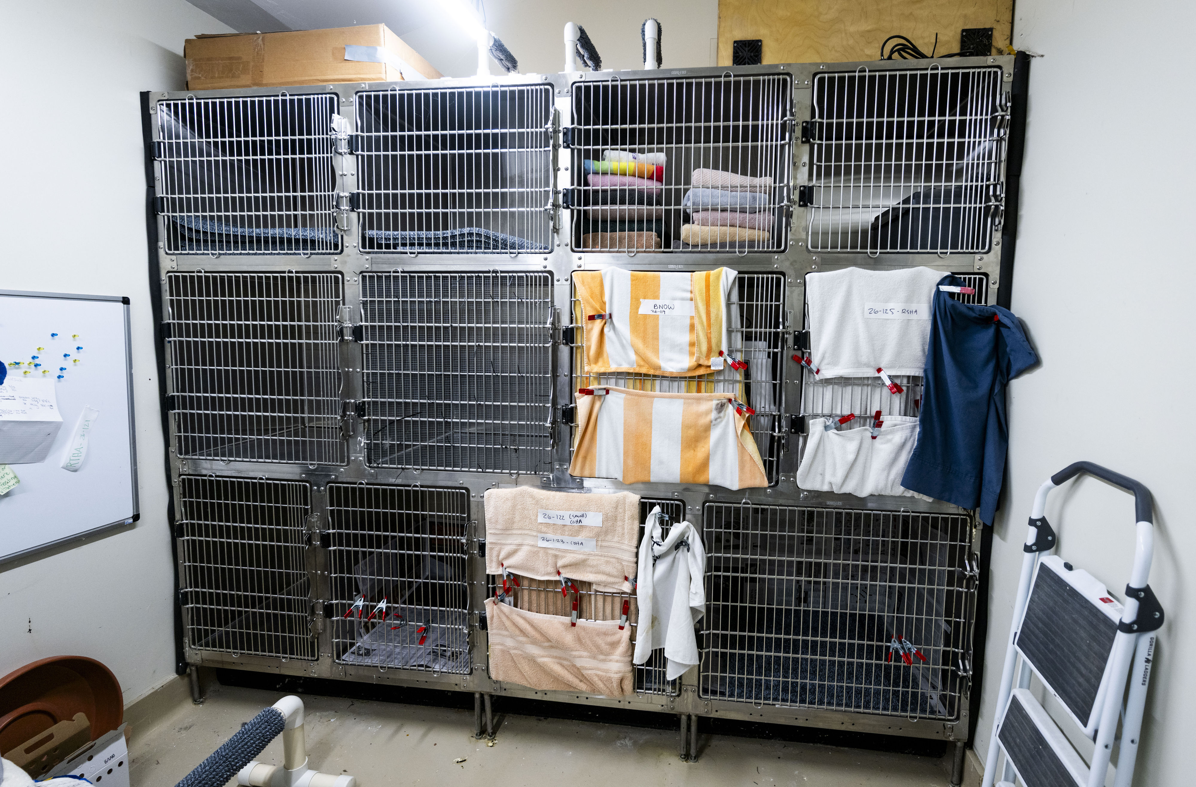 Towels cover the cages of raptor chicks at the Orange...