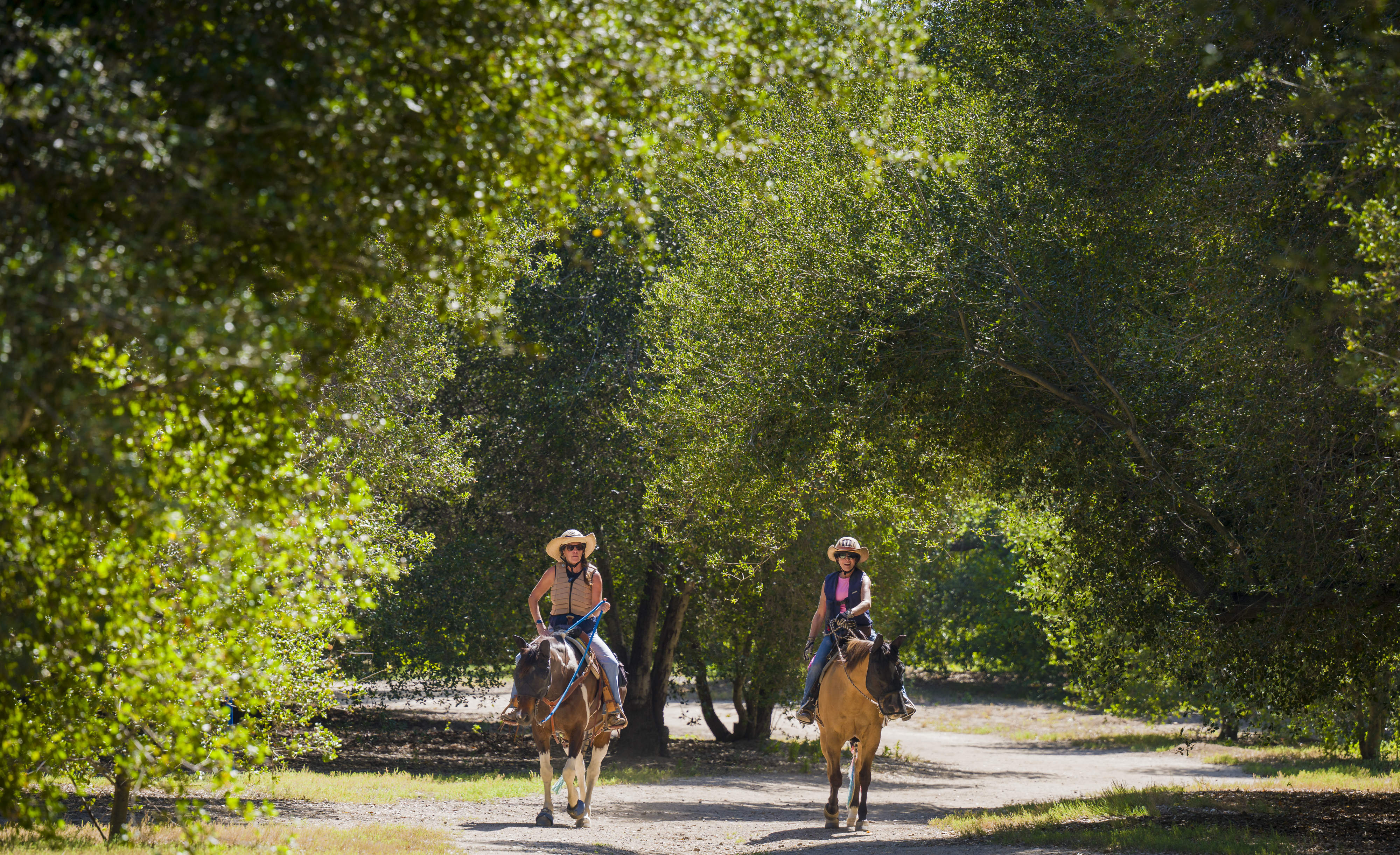 Catherine Holmes, left, of Newport Beach, rides her horse Arya,...