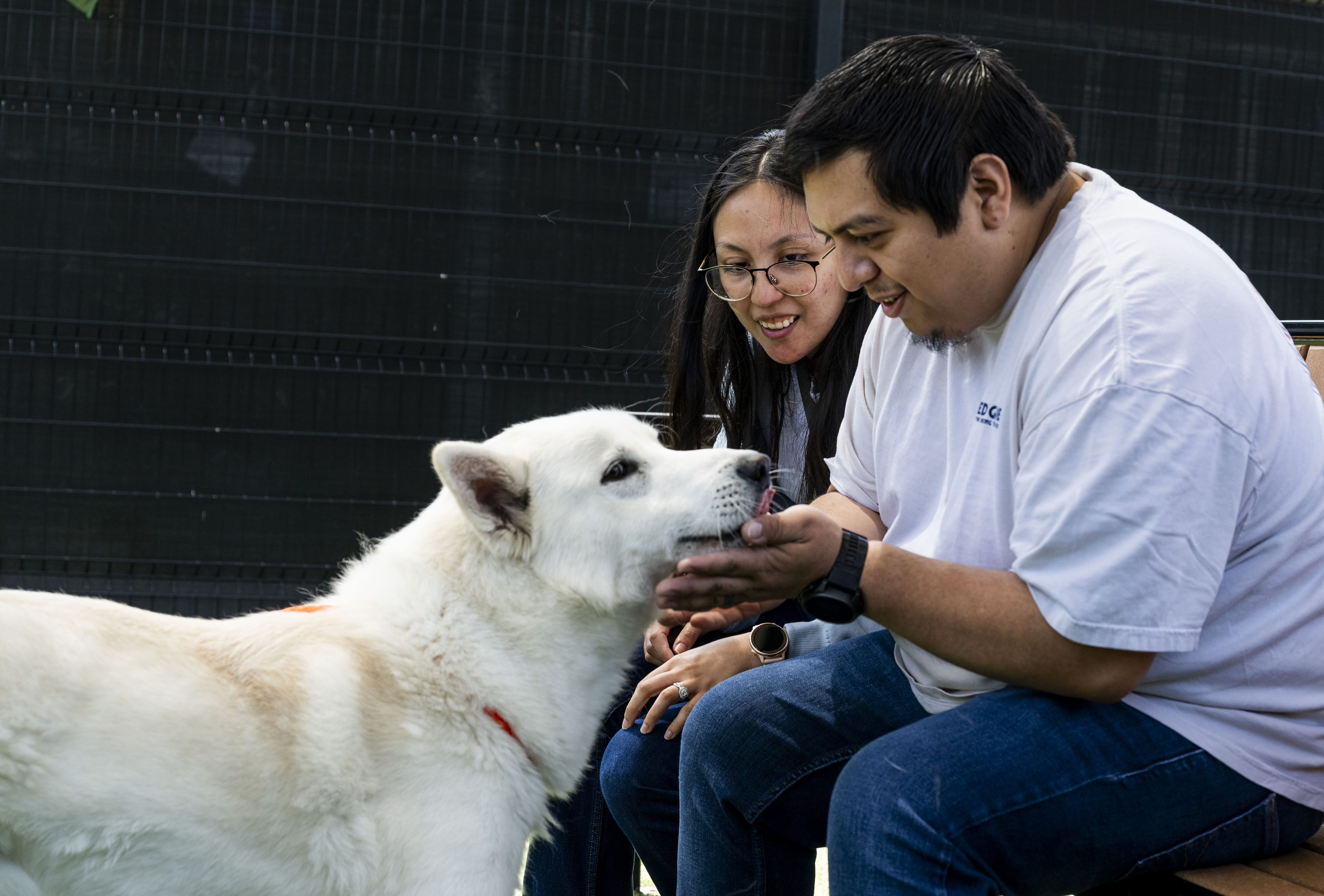 Henry and Elizabeth Fuentes visit Solstice, a Siberian Husky, for...