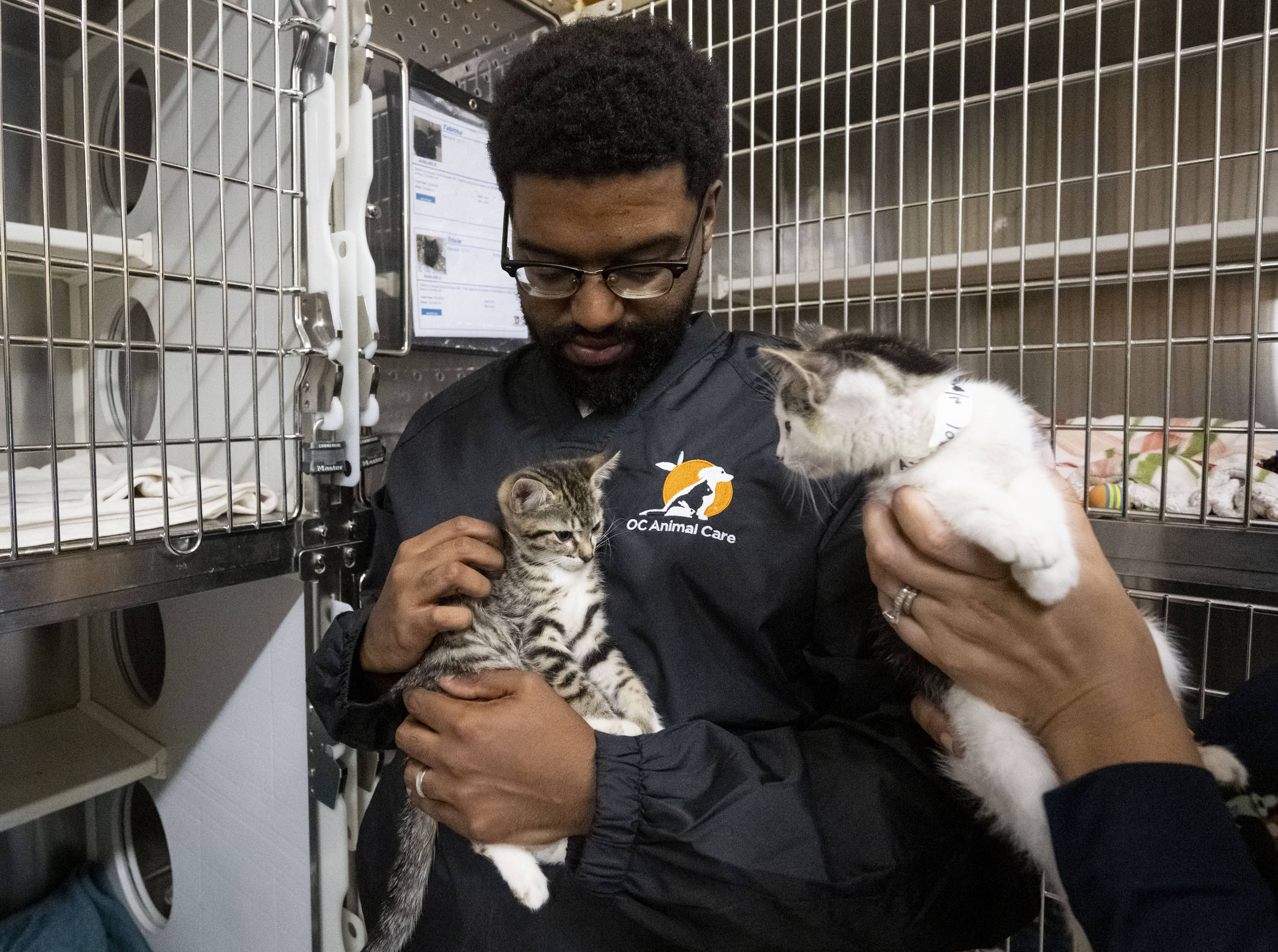 Daisy and Danny get some attention from Animal Care Attendant...