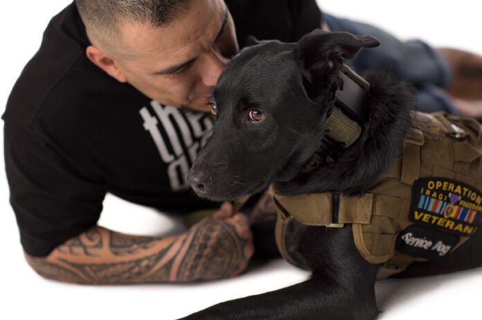 Operation Freedom Paws