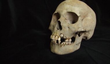 Ancient teeth rewrite plague’s timeline, dating back 5,500 years ago