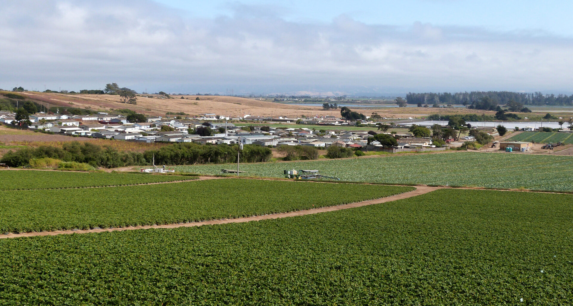 California pesticide regulators say new rules protect communities as applications of a dangerous fumigant rise