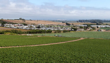California pesticide regulators say new rules protect communities as applications of a dangerous fumigant rise
