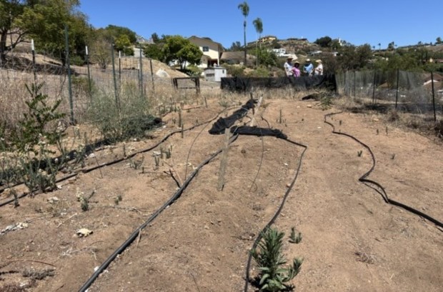 The new site being loaned by a Poway resident for the Backyard Produce Project's use. Since it has not been used as a garden for several years, it needs extensive rejuvenation this summer so volunteers can plant this fall. (Courtesy of Backyard Produce Project)