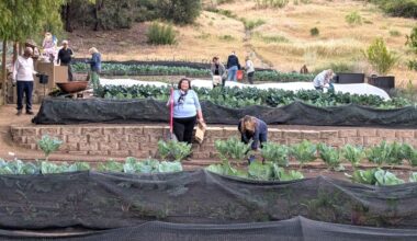 Sale forces Backyard Produce Project's garden to relocate just when need is higher