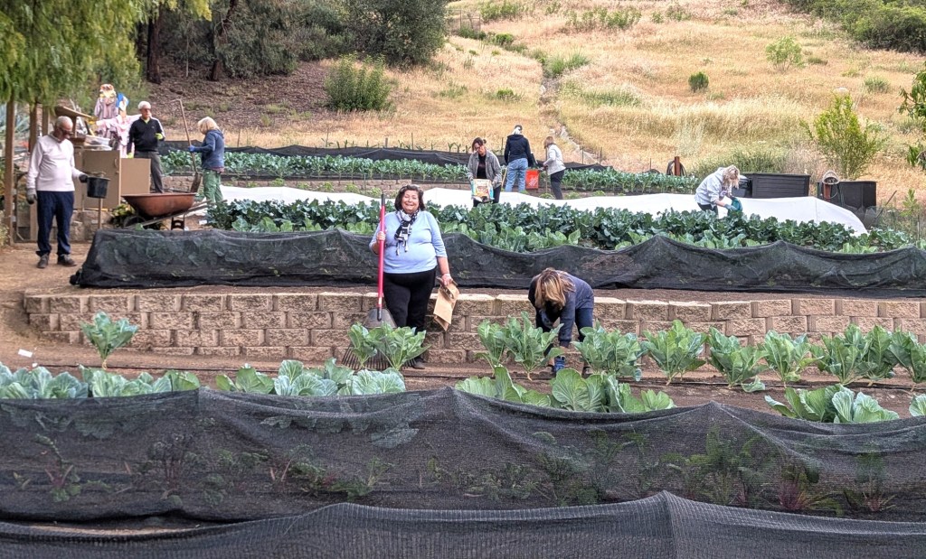 Sale forces Backyard Produce Project's garden to relocate just when need is higher