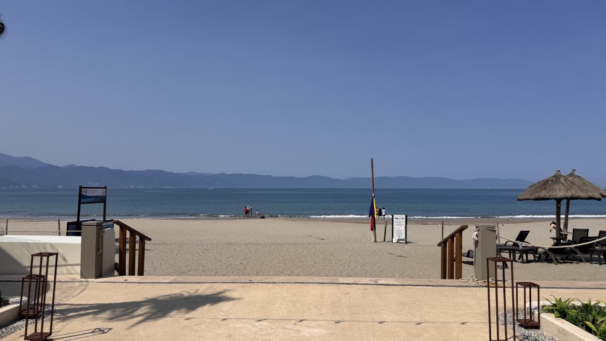 San Clemente family witnesses crocodile attack in Puerto Vallarta – NBC Los Angeles