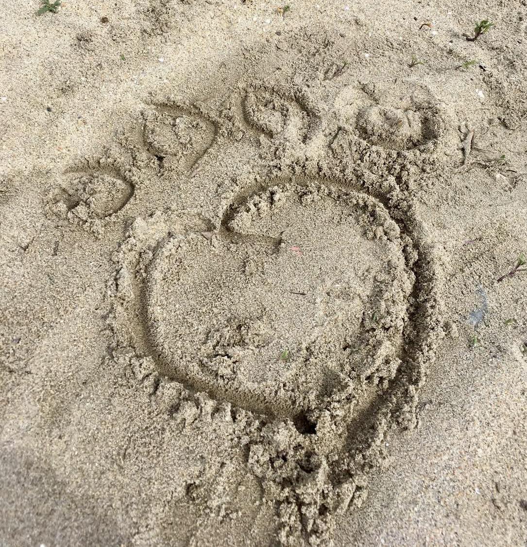 The outline of a dog's paw traced into the sand at the beach.