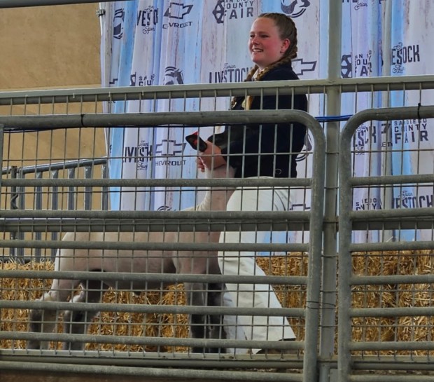 Ramona resident Kaitlyn Peck is shown at the 2025 San Diego County Fair Junior Livestock Auction with her lamb named Wilbur. Peck received a $4,000 William and Betty Ann Tulloch Endowment JLA Scholarship and a $2,500 Tulloch Family Partners/Glenn Drown FFA Scholarship. She plans to study plant and soil science in addition to agricultural leadership at Oklahoma State University. (Courtesy Kaitlyn Peck)
