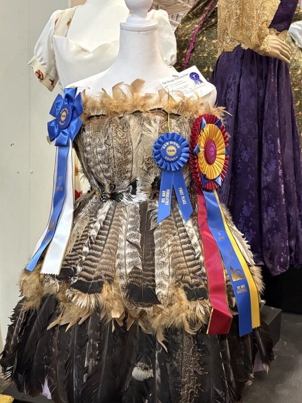 A dress made by Leslie Delaney from turkey feathers in the style of Ramona's former Turkey Days won big at this year's San Diego County Fair, taking home First Place, Division Winner and Best of Show in the Home Arts Show, in the Clothing and Fashion Section under the HistoricalInterpretations Division. The dress will be on display at the Ramona Heritage Museum after July 10. (Courtesy Leslie Delaney)