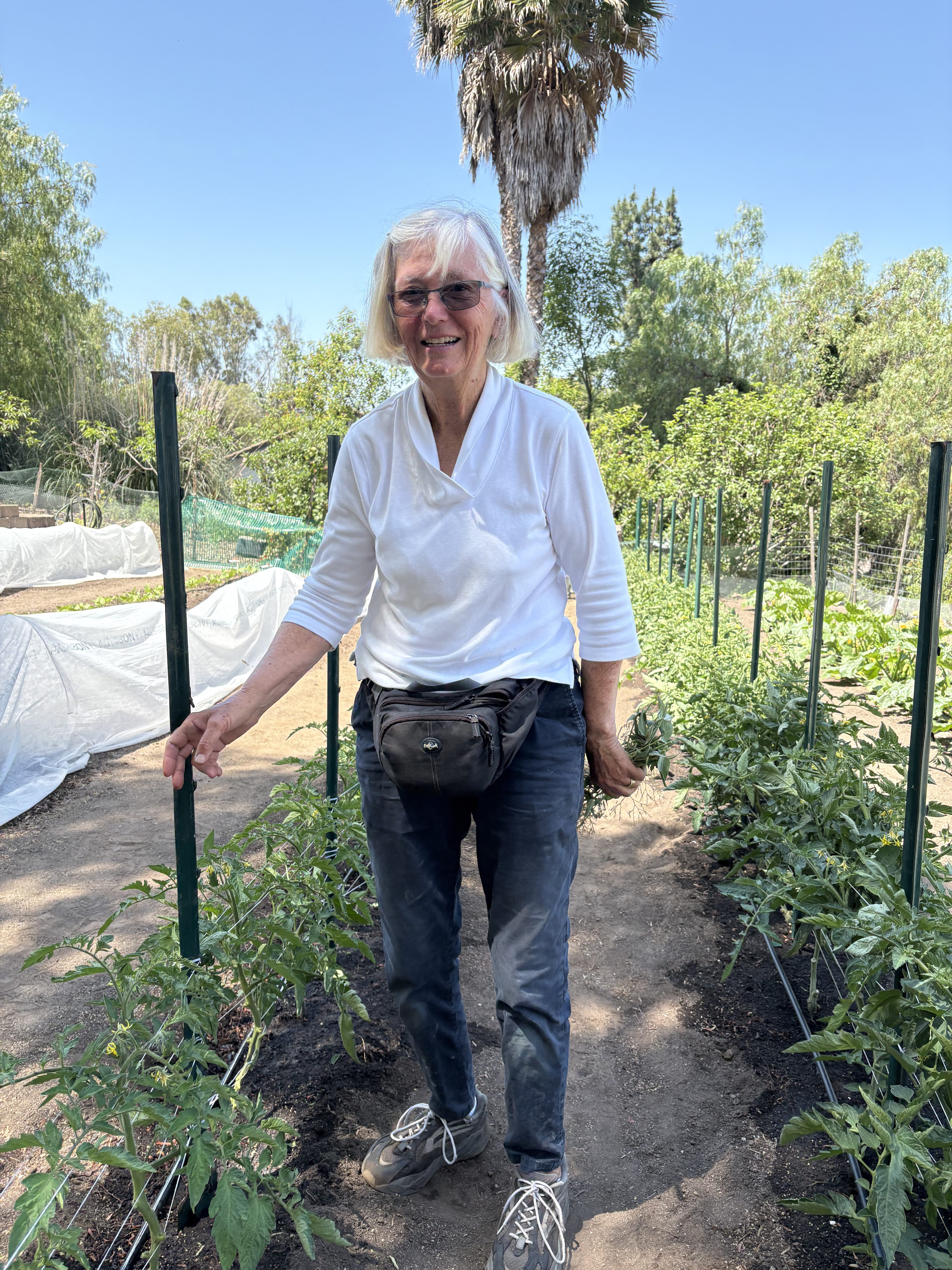 Bernadine Konopasek stands beside rows of tomato plants. She has...