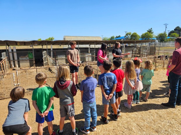 Ramona High School students, senior Kaitlyn Peck and sophomores Robin Moore and Danny Cromwell, present to Transitional Kindergarten and kindergarten students from Ramona elementary schools during the chapter's first-ever Elementary Farm Day, held May 6-7 at the school farm. (Courtesy Ramona FFA)