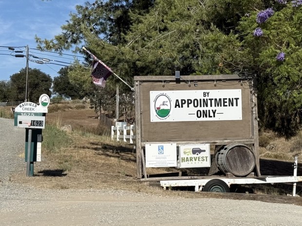 Hatfield Creek Winery, owned by Elaine Lyttleton and NormanCase, is now only be open only by appointment, and will close by the end of December. (Regina Elling)
