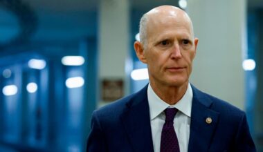 Rick Scott wants federal probe into California elections after Spencer Pratt's pratfall