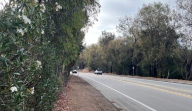 Firewise in Fairbanks Ranch: Local efforts aim to keep community safe in a wildfire – San Diego Union-Tribune