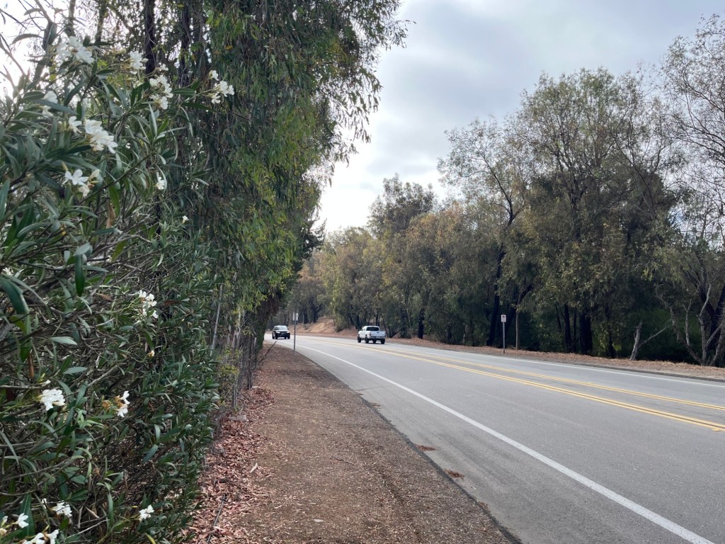 Firewise in Fairbanks Ranch: Local efforts aim to keep community safe in a wildfire – San Diego Union-Tribune
