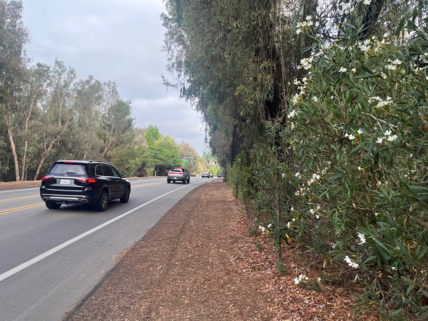 Fairbanks Ranch homeowners have worked to clear vegetation along San Dieguito Road, the community's one wildfire evacuation route. (Karen Billing)