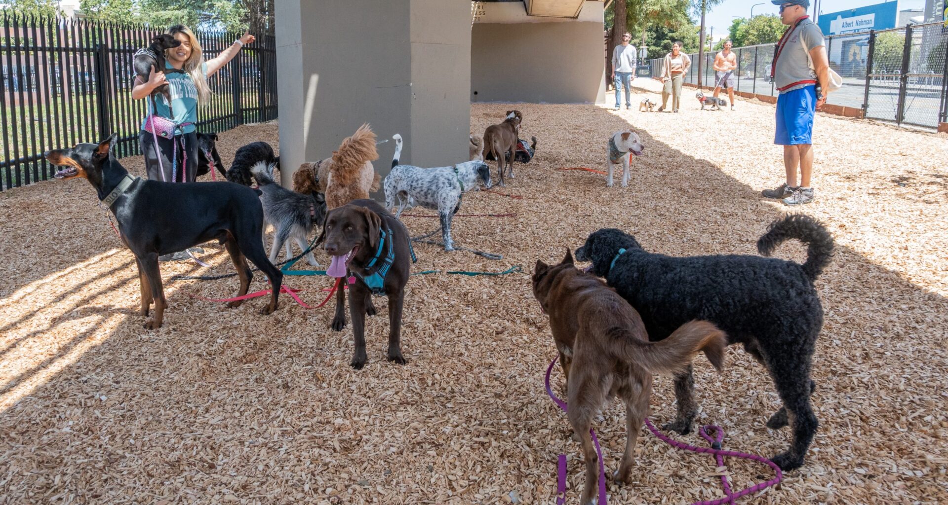 New dog park opens in South Berkeley at site of former ‘Here There’ encampment