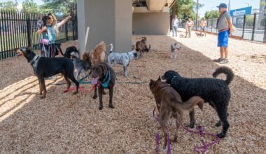 New dog park opens in South Berkeley at site of former ‘Here There’ encampment