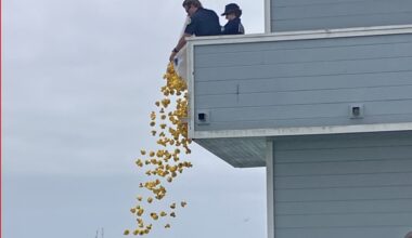 Rubber Ducky Derby grosses $11.5K 