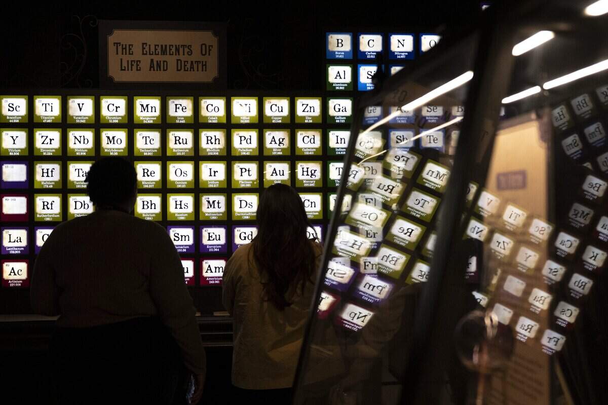 Visitors look at an interactive periodic table in the “Death by Natural Causes” featured exhibit on the second floor of The Paperworks in Old Sacramento on Friday. The exhibit explores a wide variety of dangers in everyday life, from animals to poisonous plants to urban legends.