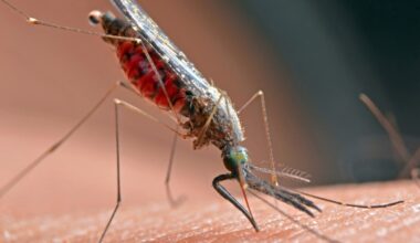 California’s first human case of West Nile Virus this summer reported in Long Beach – Orange County Register