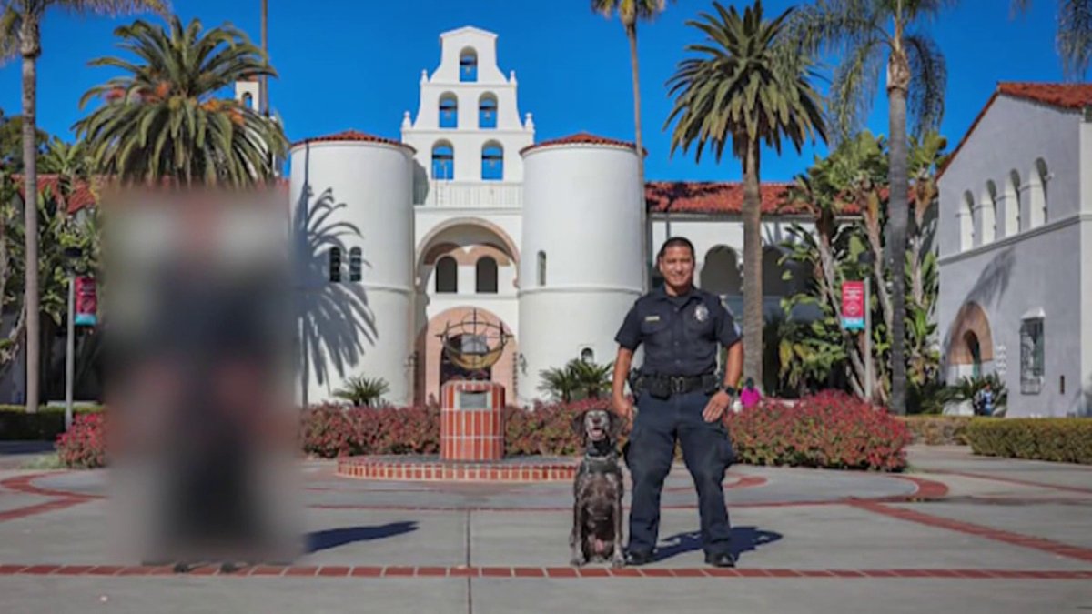 Ex-SDSU officer sentenced for posessing child sex abuse videos – NBC 7 San Diego
