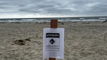 Image showing shar advisory signs posted in La Jolla Shores Beach. June 24, 2026