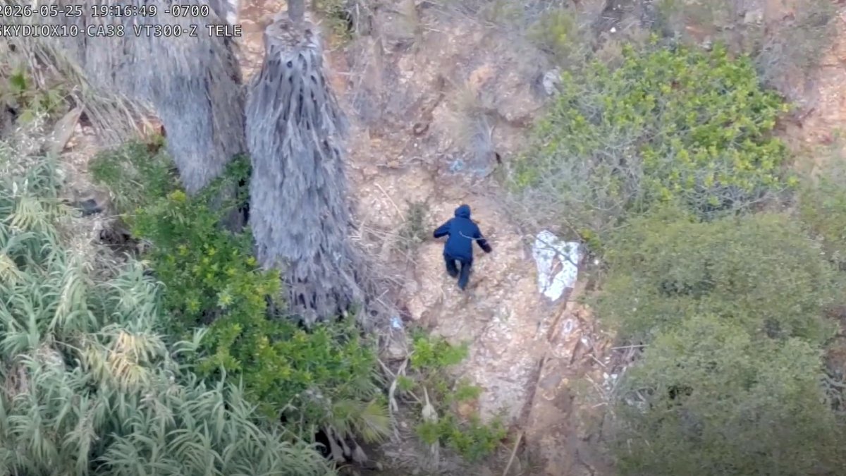 Deputies arrest Spring Valley palm tree arson suspect with help from drones – NBC 7 San Diego